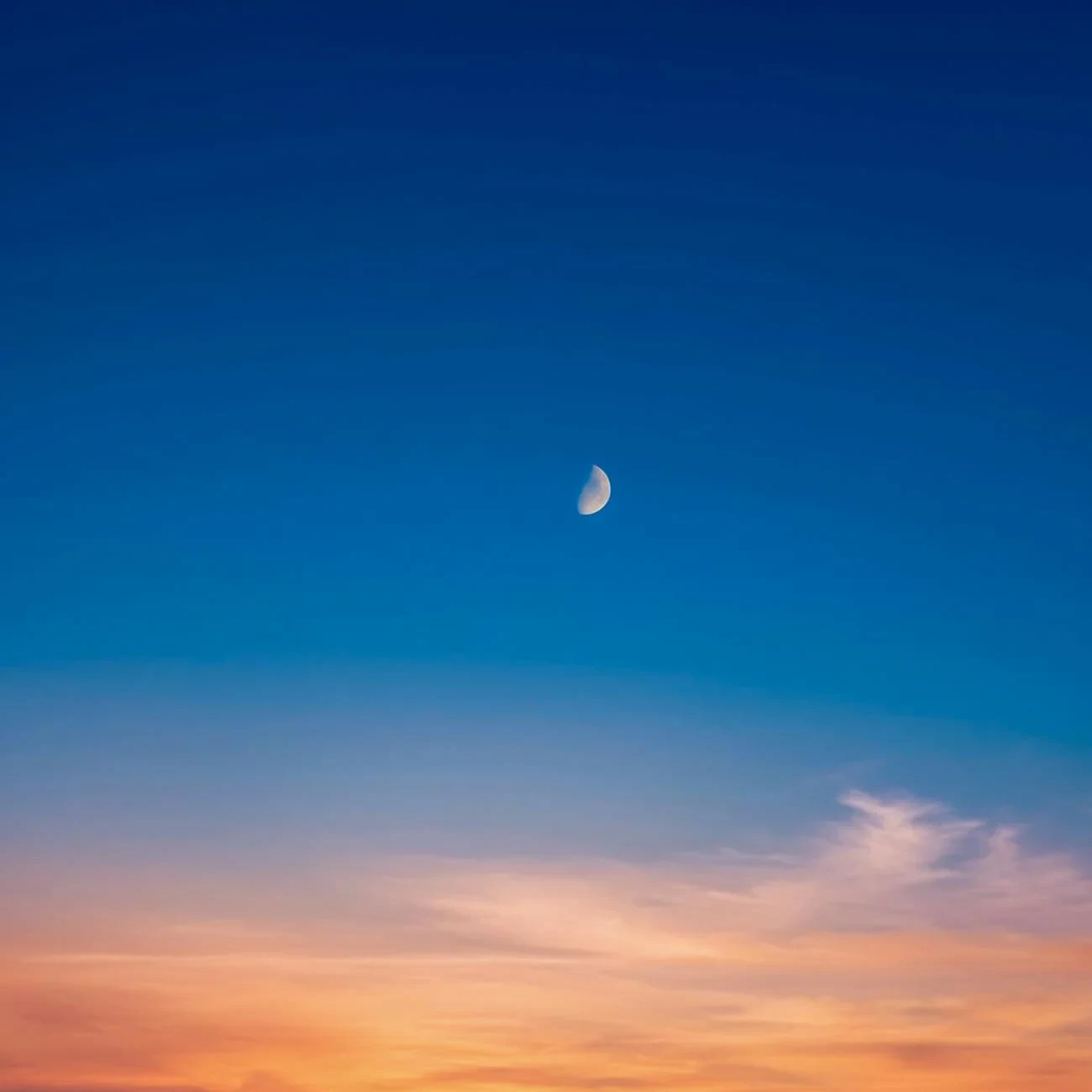 Plats à Emporter, Fumage Maison